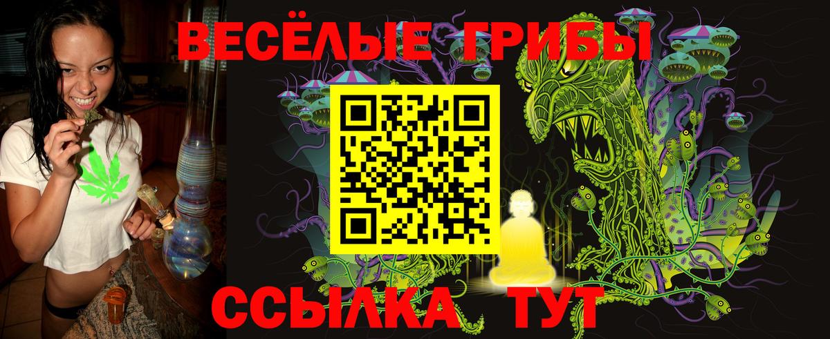 Галлюциногенные грибы Psilocybe Бутурлиновка