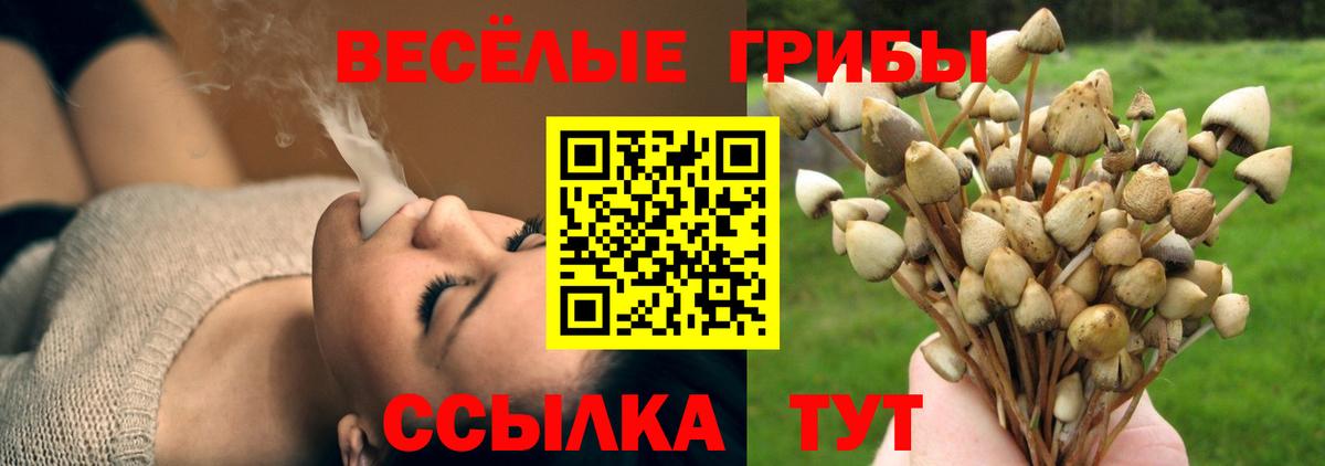 Бутурлиновка  Псилоцибиновые грибы Magic Shrooms  Галлюциногенные грибы MAGIC MUSHROOMS  Вход с VPN 
